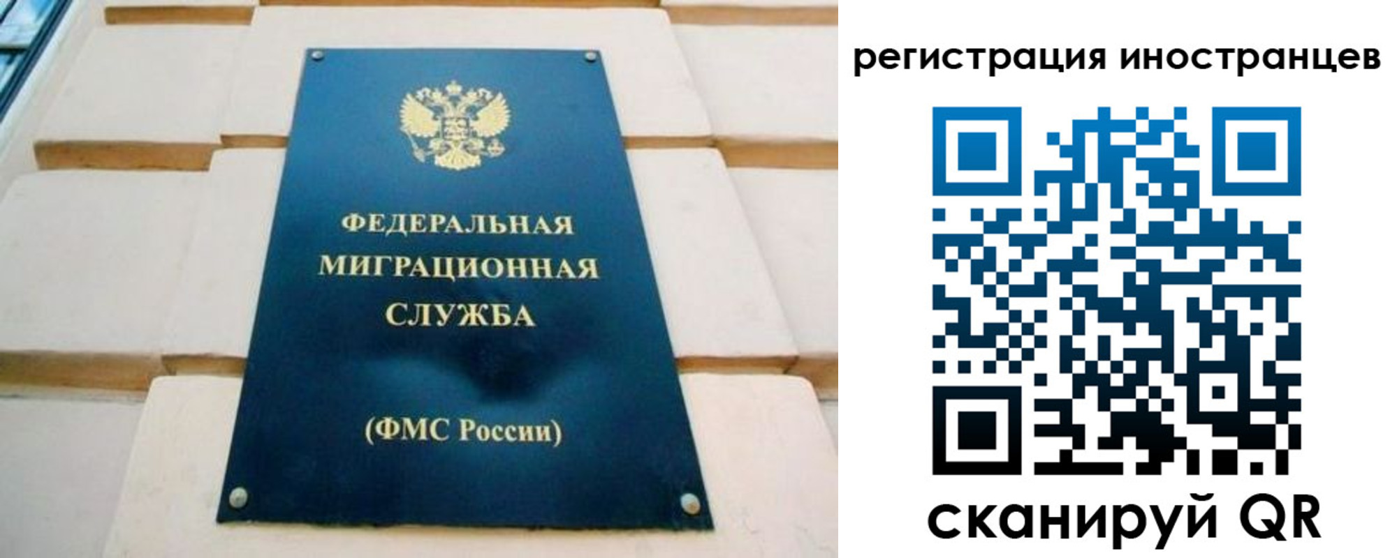 форма 3 в Николаевске